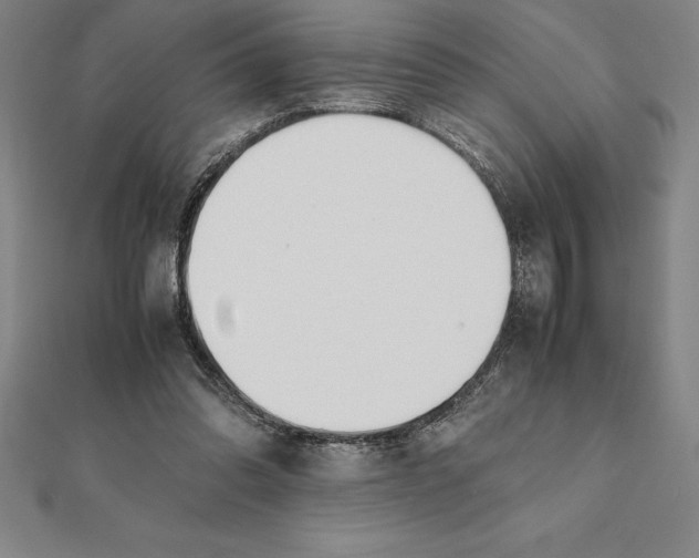 X0000112110302200909011151