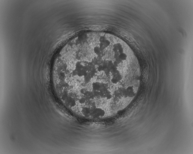 X0000112110303200909011151