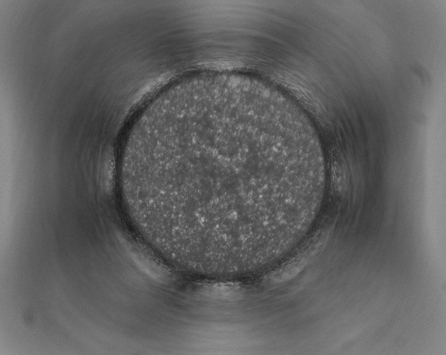 X0000112110304200909011151