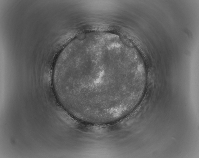 X0000112110305200909011151