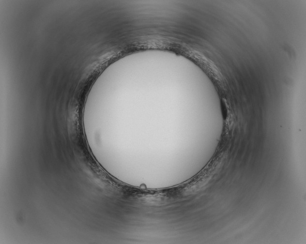 X0000112110306200909011151