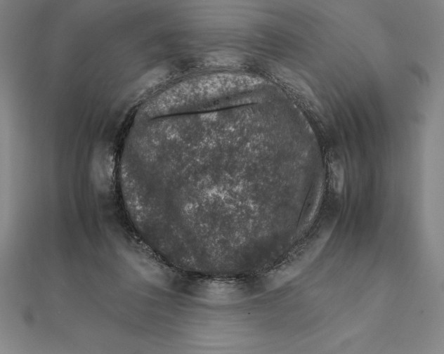 X0000112110308200909011151