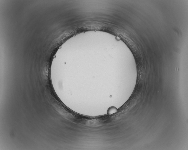 X0000112110309200909011151