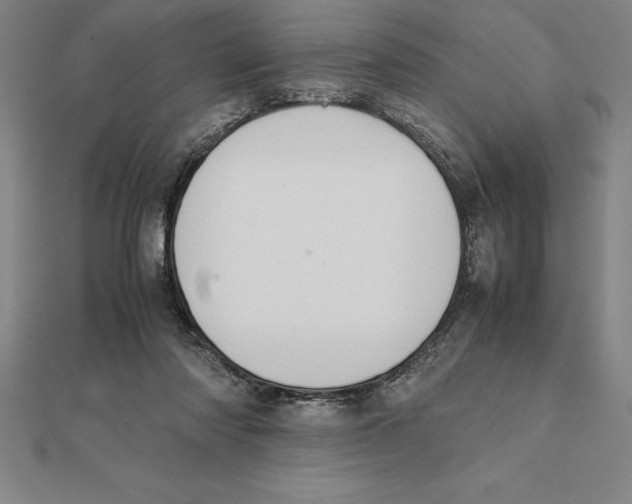 X0000112110310200909011151