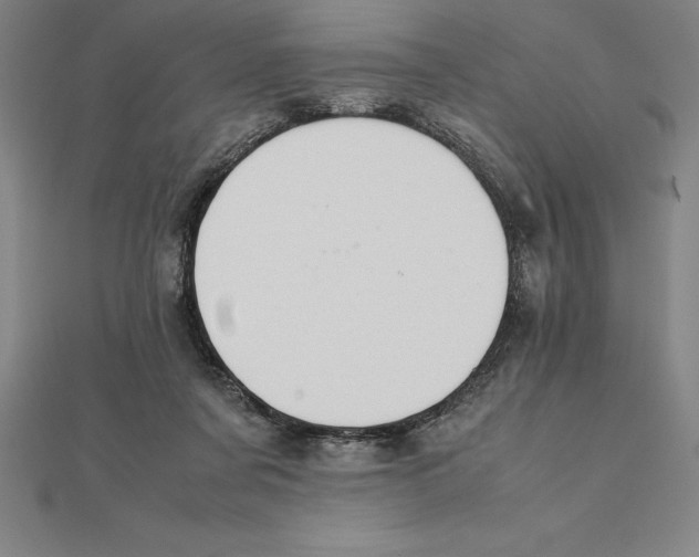 X0000112110311200909011151