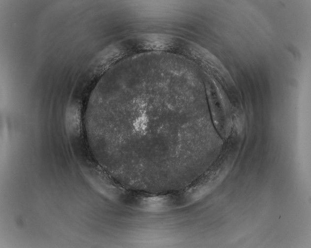 X0000112110312200909011151