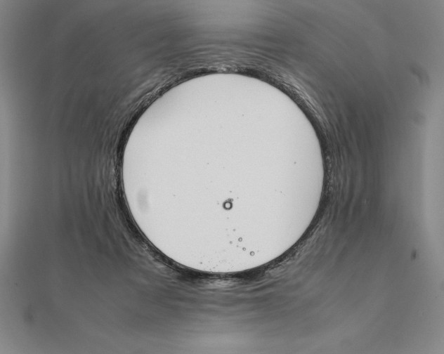 X0000112110313200909011151