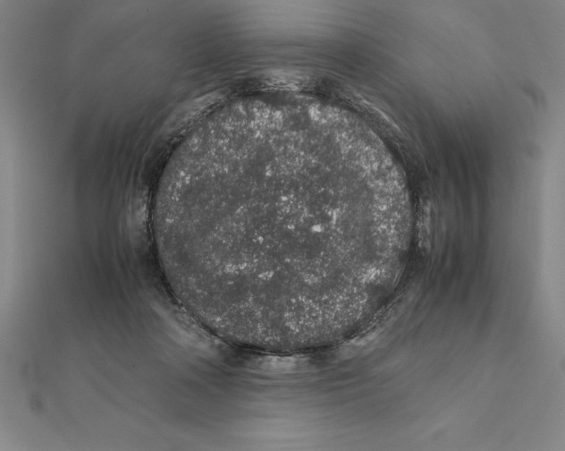 X0000112110314200909011151