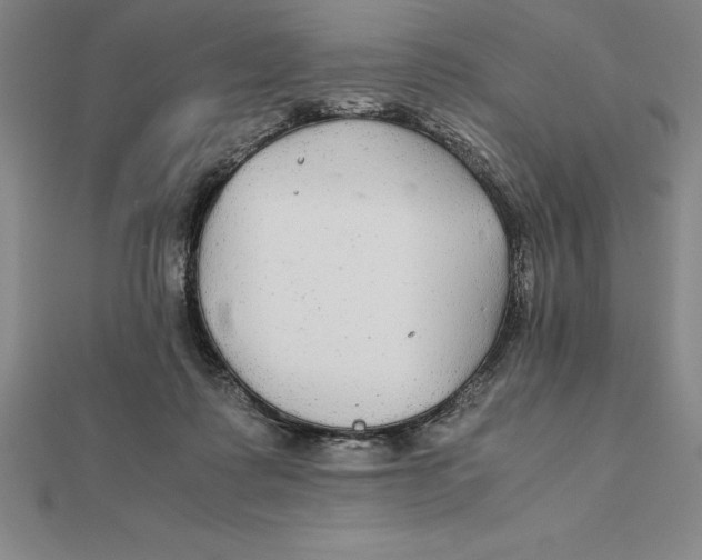 X0000112110315200909011151