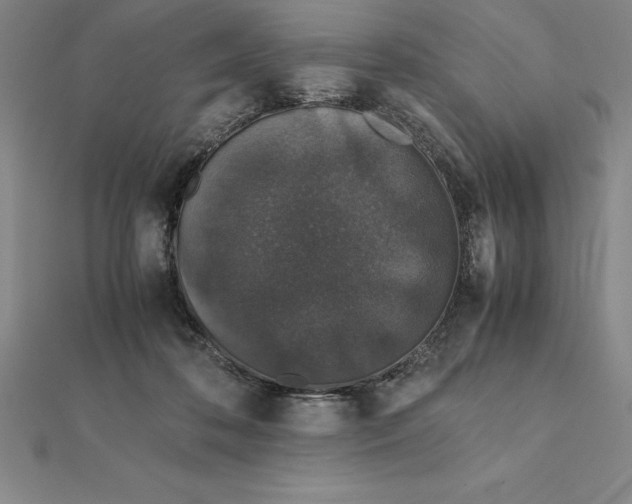 X0000112110316200909011151