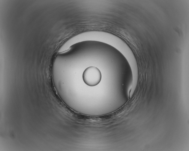 X0000112110317200909011151
