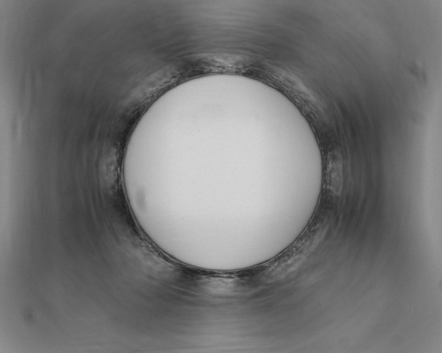 X0000112110318200909011151