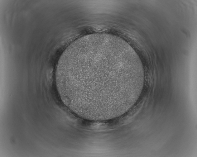 X0000112110319200909011151