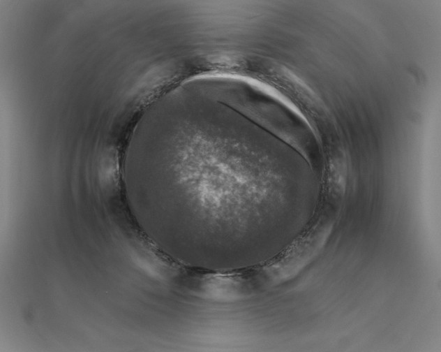 X0000112110320200909011151