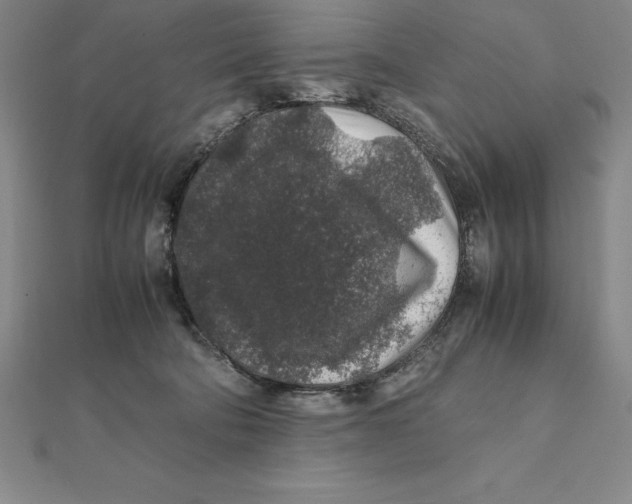 X0000112110322200909011151