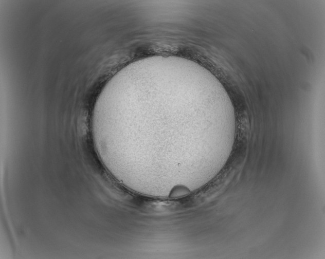 X0000112110323200909011151