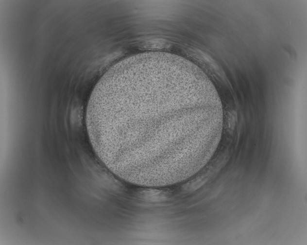 X0000112110326200909011151