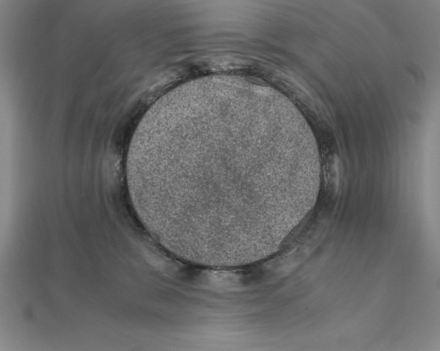 X0000112110327200909011151