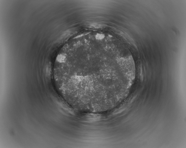 X0000112110328200909011151
