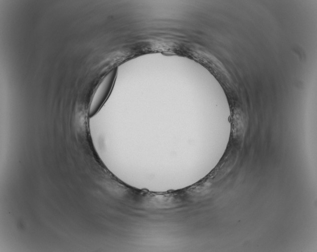 X0000112110329200909011151