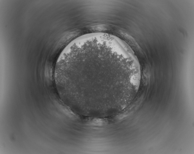 X0000112110330200909011151