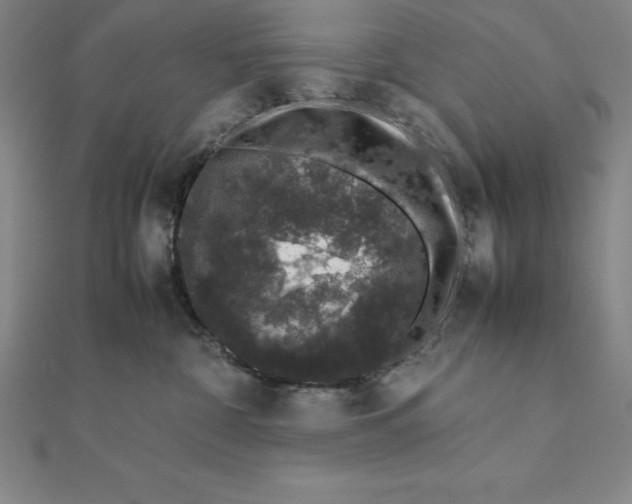 X0000112110332200909011151