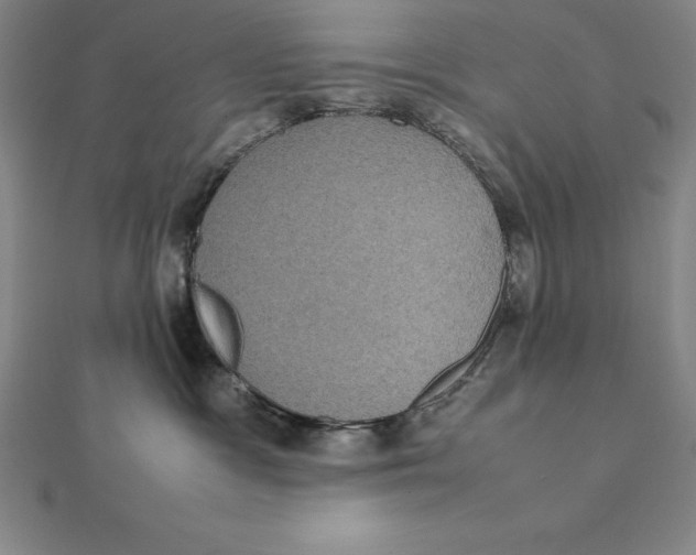 X0000112110333200909011151