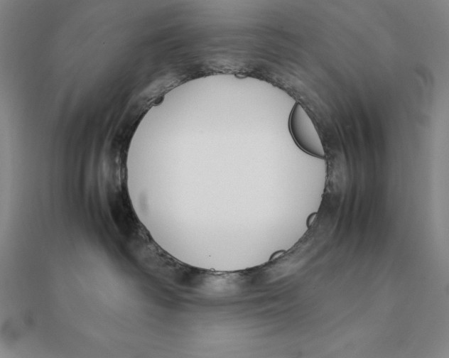 X0000112110334200909011151