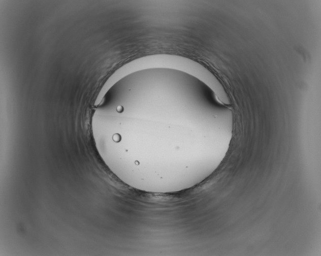 X0000112110336200909011151