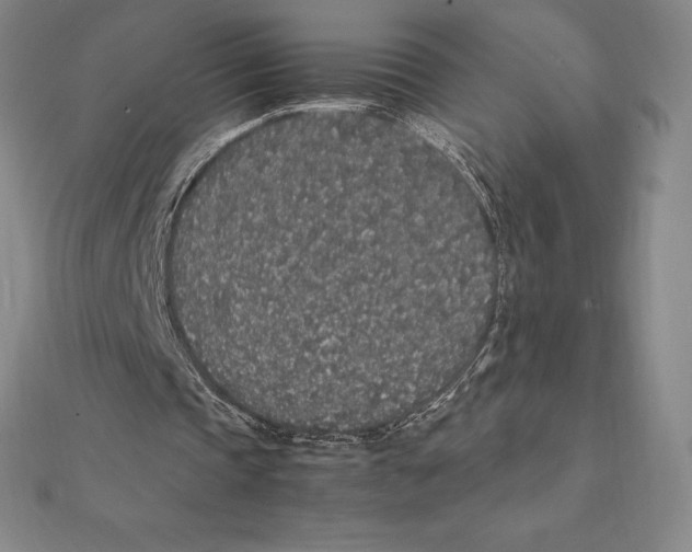 X0000112110337200909011150