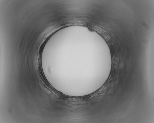 X0000112110338200909011150