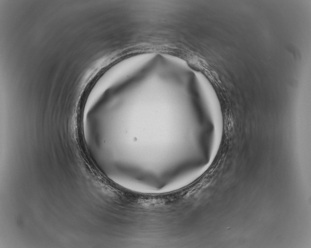 X0000112110340200909011150