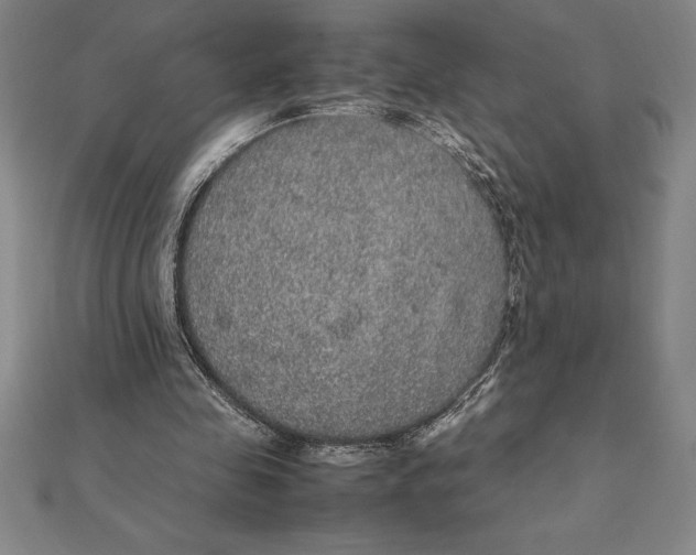 X0000112110341200909011150