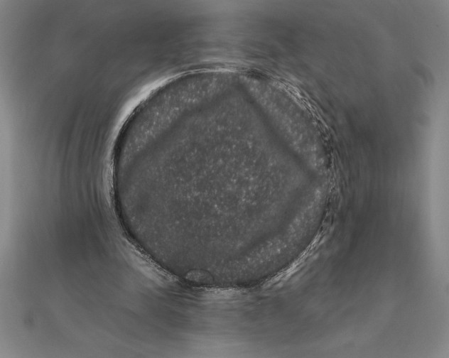 X0000112110342200909011150