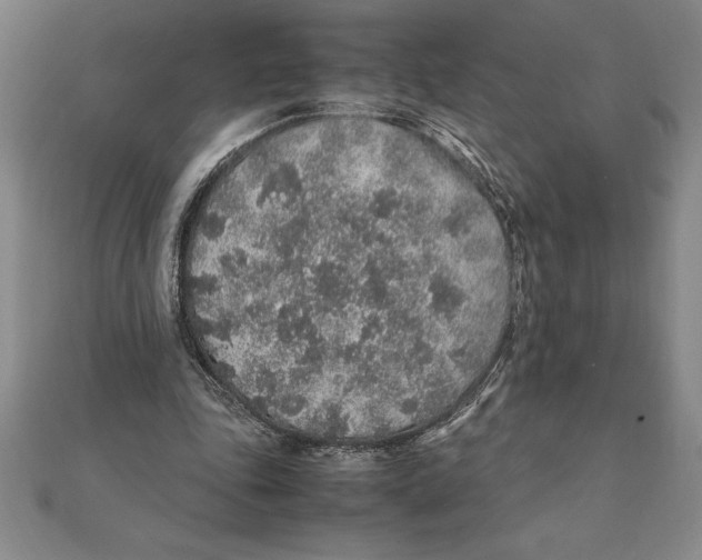 X0000112110343200909011150