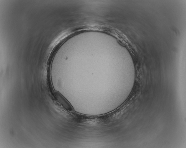 X0000112110344200909011150
