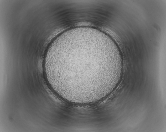 X0000112110345200909011150