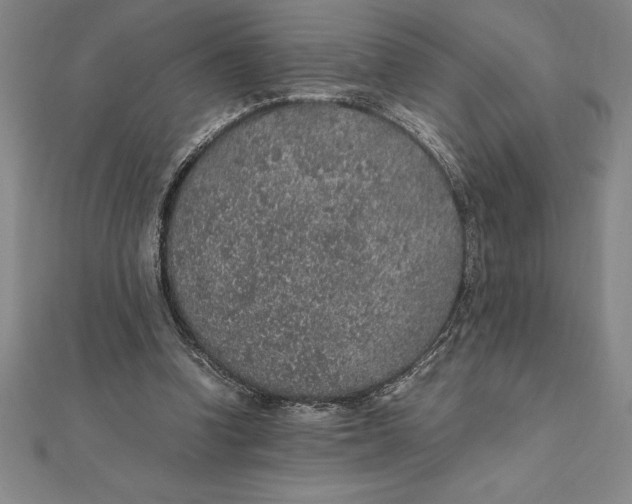 X0000112110346200909011150