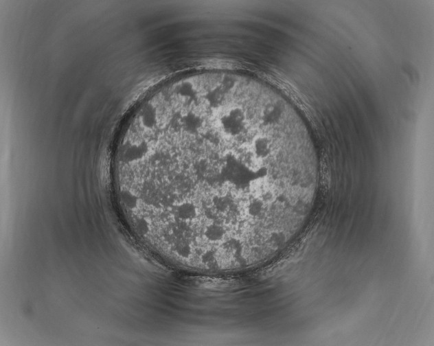 X0000112110347200909011150