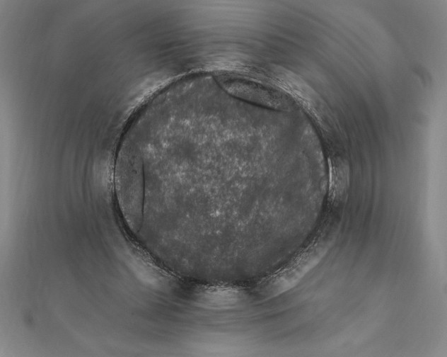 X0000112110348200909011150