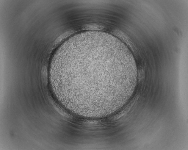 X0000112110349200909011150