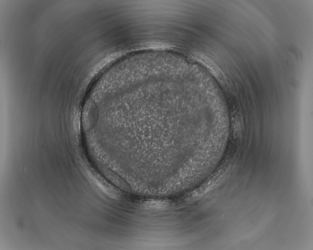 X0000112110350200909011150