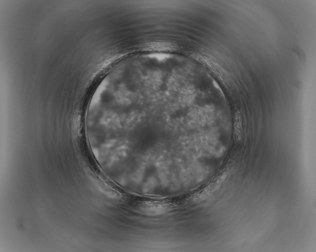 X0000112110351200909011150