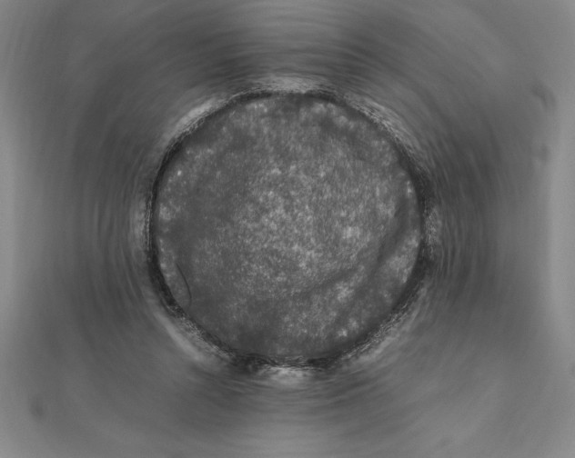 X0000112110352200909011150