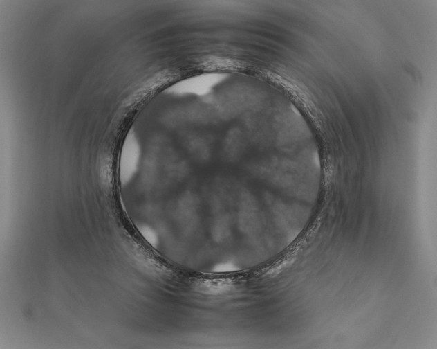 X0000112110353200909011150