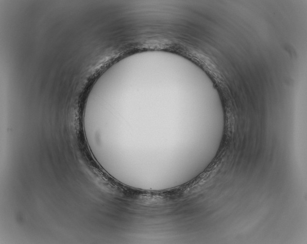 X0000112110354200909011150