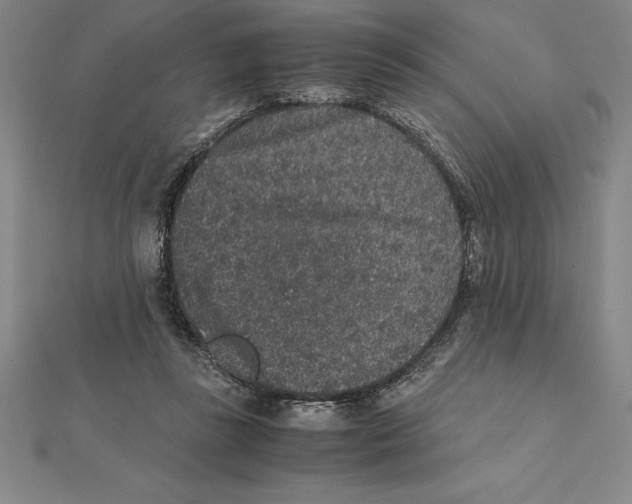 X0000112110355200909011150