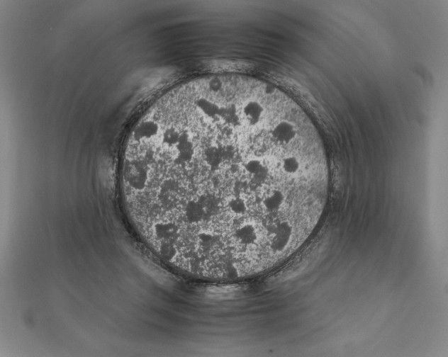 X0000112110357200909011150
