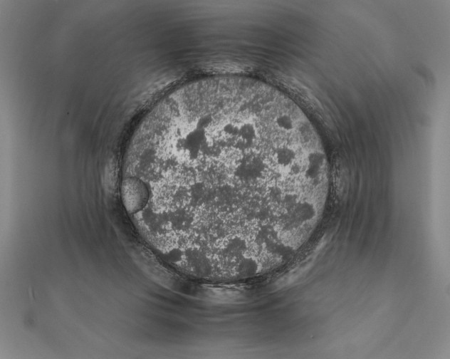 X0000112110359200909011150