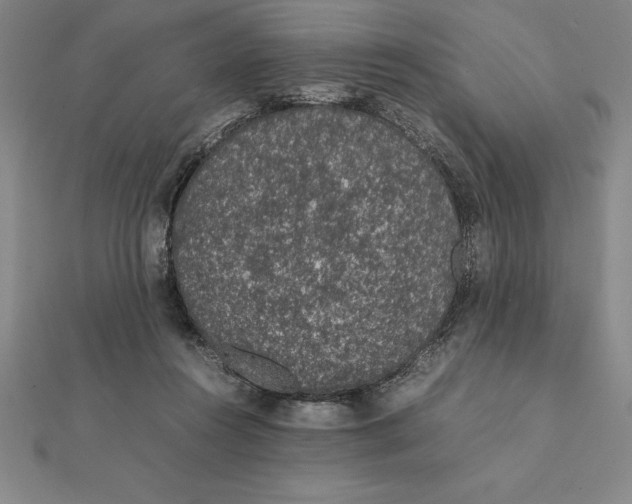 X0000112110360200909011150